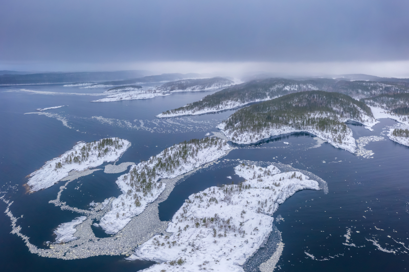 В Москве пройдет выставка фотографий Nature Photo Team