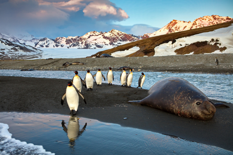 В Москве пройдет выставка фотографий Nature Photo Team