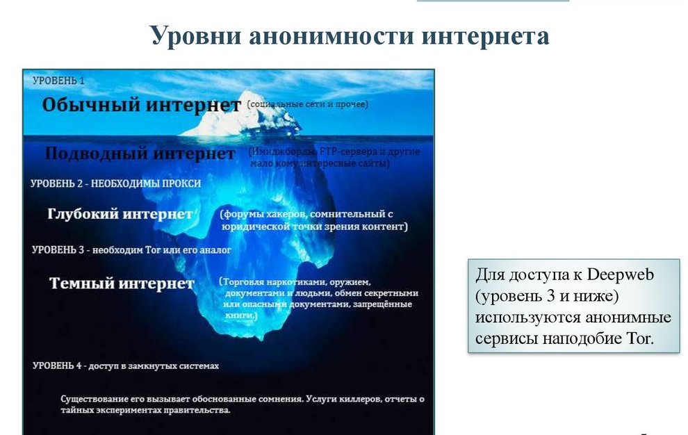 Как работает сеть веб — важный фактор формирования